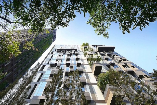 ห้องชุด ไอดีโอ มอร์ฟ 38 บรรยากาศน่าอยู่ เป็นคอนโดพร้อมอยู่ที่มีการตกแต่งภายในเพิ่มเติมได้แบบเรียบหรู และมีทำเลสวยสามารถมองเห็นวิวสวยงาม พร้อมพื้นที่ส่วนกลาง และสิ่งอำนวยความสะดวกครบครัน ทั้งสระว่ายน้ำ ห้องออกกำลังกาย สวนพักผ่อนขนาดใหญ่ ใกล้ทางด่วน แล