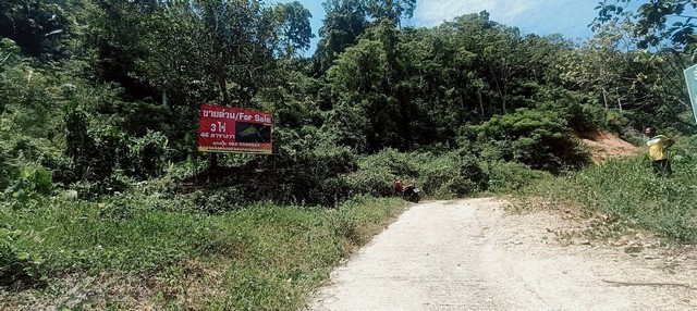 ขายที่ดินภูเก็ต...ที่ภูเก็ตวิวภูเขา มีความส่วนตัวติดดถนนสาธารณะ