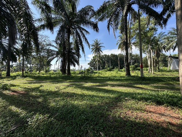 อย่าพลาดดีลเด็ดโปรดี ที่ดินใกล้ทะเลวิวสวยมาก แปลงเล็กวาละ 6800 อ.บางสะพานน้อย จ.ประจวบคีรีขันธ์